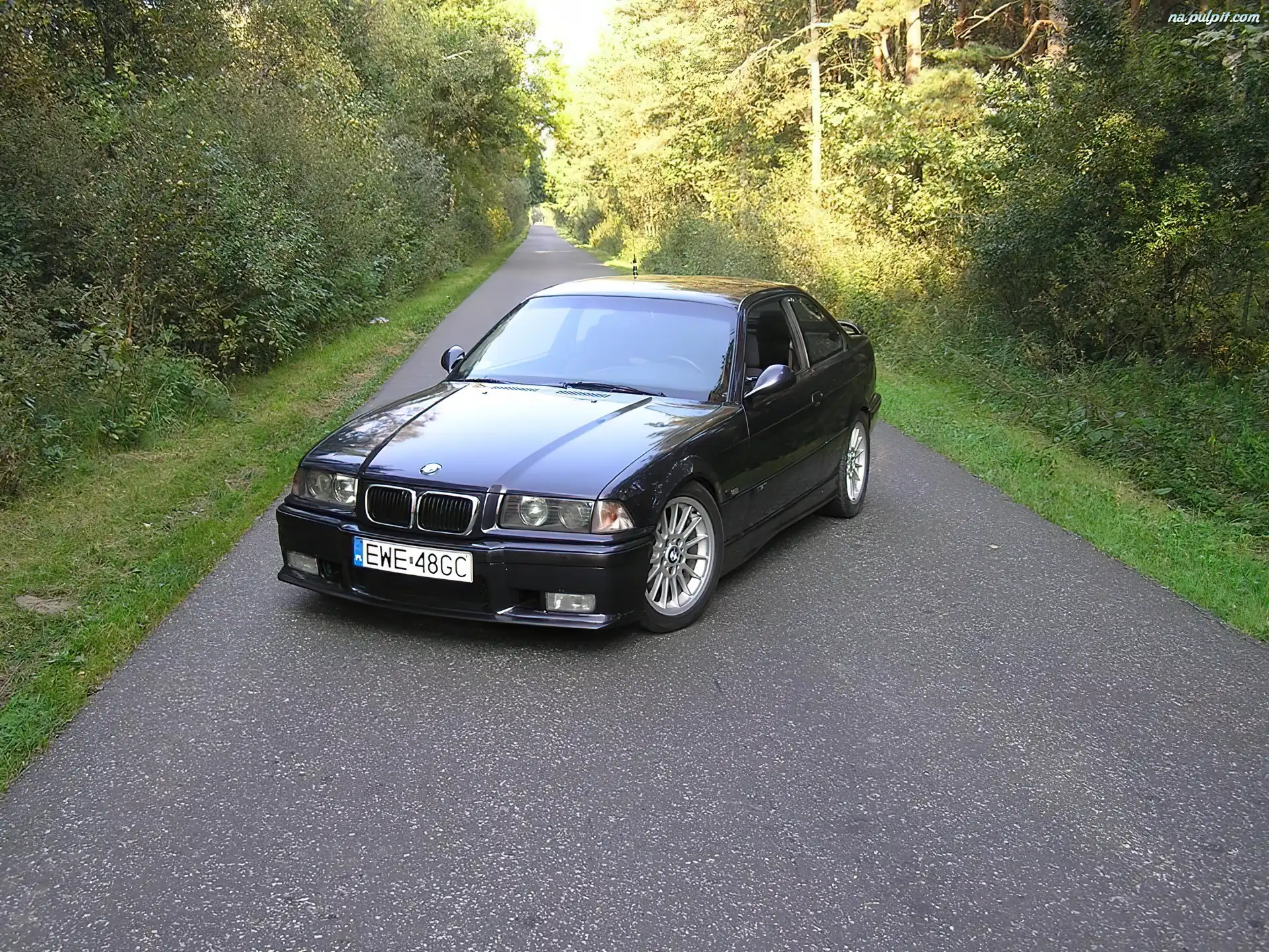 Bmw e36 zdjecia chomikuj #2